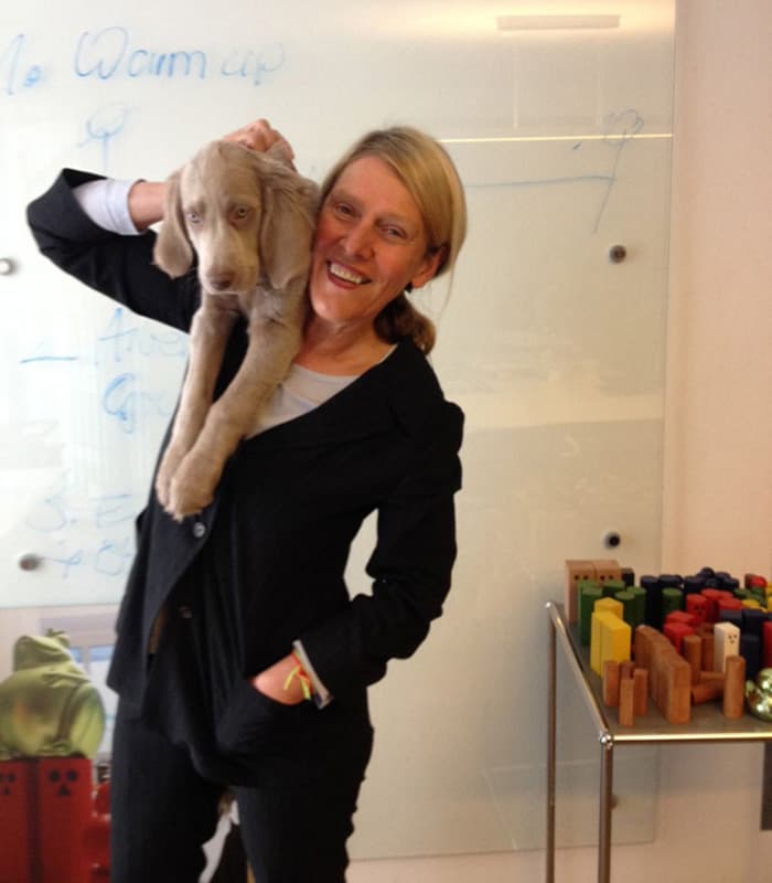 Die Hundedame Donna ist in unser Büro eingezogen