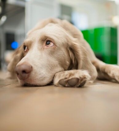 Externe Supervision bedeutet professionelle Entlastung und Weiterentwicklung auf Augenhöhe.